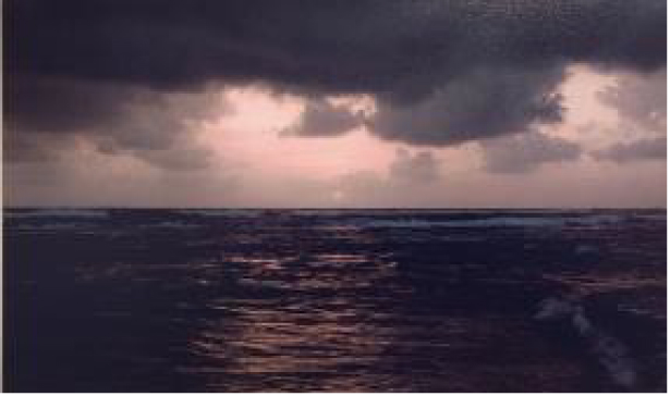 Beruwela 1 (triptych)